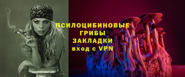 PSILOCYBIN Абдулино