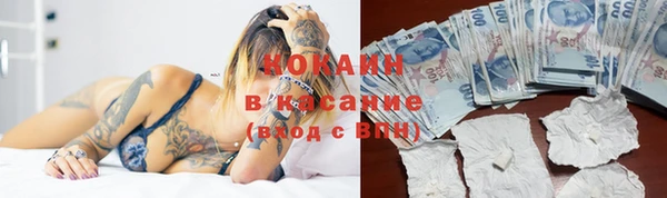гидропоника Абаза