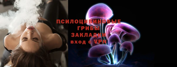 гидропоника Абаза