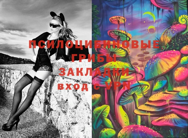 гидропоника Абаза