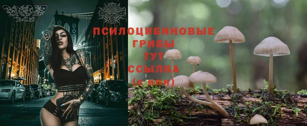 PSILOCYBIN Абдулино
