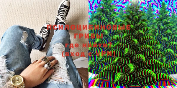 PSILOCYBIN Абдулино