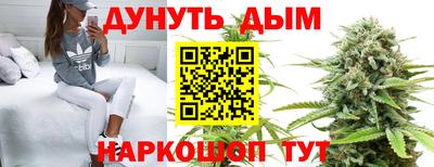 apvp Ставрополь